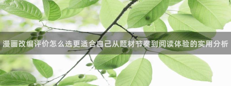 日漫排行榜