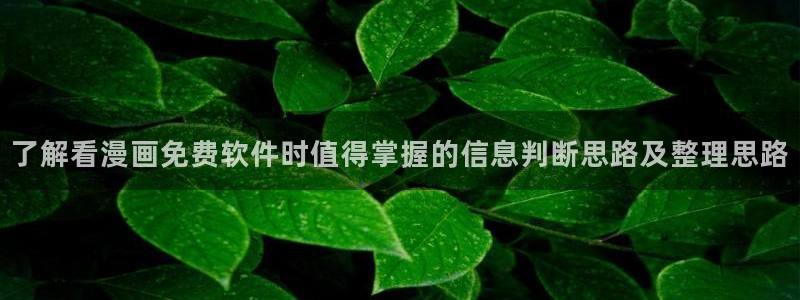 在线漫画阅读平台